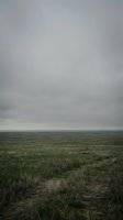 Moody overcast sky above vast green grassland prairie with dramatic storm clouds creating atmospheric rural landscape for nature and weather concepts.
