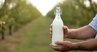 Farmer holding fresh milk bottle in orchard field, agricultural production and dairy farming concept for food industry and sustainable agriculture.