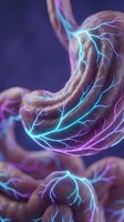 Stomach organ with glowing neon blue and purple vascular system on dark background. Medical visualization for healthcare, anatomy education, and scientific presentations.