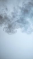 Abstract gray smoke cloud swirling against light background creating atmospheric texture for creative projects and design applications.
