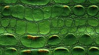 Green crocodile leather texture with scales and natural pattern showing authentic reptile skin surface detail in macro photography.
