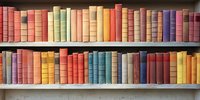 Vintage hardcover books arranged in rows on wooden shelves, displaying multicolored spines in pastel and muted tones creating harmonious library collection pattern.