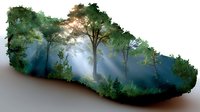 Mystical forest landscape inside shoe silhouette, double exposure effect showing nature with sunbeams through morning fog and trees merged with footwear shape.
