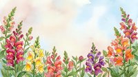 Watercolor snapdragon flowers in vibrant colors creating floral border on white background for spring garden designs and botanical artwork projects.