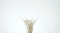 Milk splash with dynamic crown formation isolated on white background, suitable for beverage packaging, advertising, and commercial design projects.