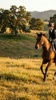 Young female equestrian rider in helmet and vest cantering on bay horse through golden countryside field at sunset with rolling hills and oak trees.