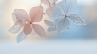 Delicate translucent flowers with intricate vein patterns in soft pastel tones creating dreamy ethereal botanical background for wellness and beauty concepts.