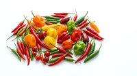 Fresh red, yellow, orange and green chili peppers and bell peppers isolated on white background for cooking, food styling and culinary design projects.