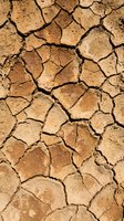 Cracked and parched earth with deep fissures showing drought conditions, arid landscape, and soil erosion. Use for environmental, climate change, and sustainability projects.