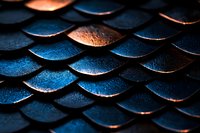 Metallic blue and copper scales in macro photography create dramatic pattern with light reflection and shadow detail, suitable for fantasy or marine designs.