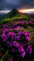Dramatic mountain peak at sunset with vibrant purple rhododendrons blooming in foreground, golden light illuminating green slopes against moody sky and distant hills.