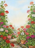 Watercolor garden scene with colorful geranium flowers in terracotta pots creating natural frame border for greeting cards and botanical designs.