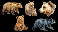 Watercolor bear collection featuring five different species and poses isolated on transparent background, ready for t-shirt design, clipart, stickers, print-on-demand products, and sublimation projects.