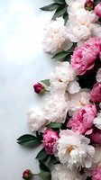 Pink and white peonies with green leaves arranged as border frame on light background. Fresh spring flowers create romantic floral composition.