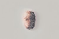 Detailed fingerprint pattern in pink and gray tones on neutral background, showing unique ridges and valleys of human biometric identification mark.
