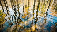 Abstract water reflection creating mesmerizing ripple patterns in gold and blue tones, perfect for luxury backgrounds, meditation spaces, or artistic wall decor designs.