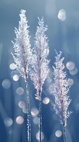 Delicate frost-covered grass stems against blue winter background with soft bokeh lights. Magical morning nature macro photography with crystalline ice formations.