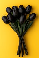 Dramatic black tulips bouquet against vibrant yellow background. Fresh spring flowers with dark petals and green stems create bold contrast for modern floral design.