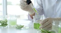 Scientist in white lab coat extracting green aloe vera gel with dropper into glass beaker for natural cosmetic research and skincare product development.