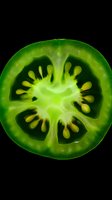 Macro shot of green tomato slice on black background showing detailed internal structure with seeds and translucent flesh, backlit to highlight natural patterns.