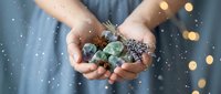 Woman hands holding winter holiday decorations with pine cones, eucalyptus leaves and fairy lights creating magical festive atmosphere for seasonal celebrations.