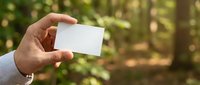 Caucasian male hand holding blank white business card outdoors in green forest, mockup with copy space for branding and design.