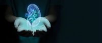 Medical professional displaying holographic kidney anatomy with glowing blue digital projection for healthcare education and urology consultation.