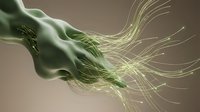 Young woman with long flowing hair dissolving into luminous green particle streams, representing digital transformation, data flow, and technology integration for web design and marketing materials.