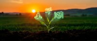 Young plant sprout emerging from soil with glowing neon icons representing growth, sustainability, and agriculture at sunset. Concept for renewable energy, eco-friendly farming, and green technology.