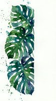 Watercolor monstera leaves with paint splatters on white background. Tropical botanical art for home decor, wall prints and nature-inspired designs.