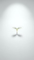 Small green seedling sprouting from white surface with soft lighting and shadow, symbolizing new beginnings, growth and fresh start concepts.