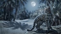 Spotted wild cat sitting on rock under full moon in tropical jungle at night. Nocturnal predator in natural habitat with palm trees and moonlight creating mystical atmosphere.