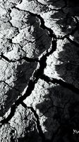 Cracked and parched earth with deep fissures creating abstract patterns, suitable for drought, climate change, environmental, and geological design projects.