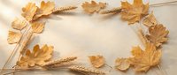 Autumn frame with golden oak leaves and wheat ears on wooden background. Seasonal harvest decoration for fall designs, thanksgiving cards, rustic wedding invitations.