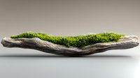 Natural wooden bowl filled with fresh green moss creating organic decorative element for zen garden design and botanical home decor projects.