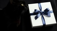 Black cat with yellow eyes looking at white gift box with blue ribbon bow on dark background. Suitable for holiday, celebration, and pet-related designs.