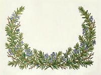 Botanical wreath frame with rosemary sprigs and small blue flowers on cream background, isolated design element suitable for invitations, labels, and decorative projects.