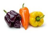 Isolated fresh bell peppers in purple, orange and yellow varieties with green stems on white background, suitable for food packaging, culinary design and healthy eating content.