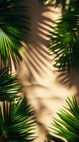 Green palm leaves casting shadows on beige wall, creating tropical light pattern for summer design backgrounds.
