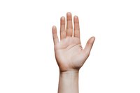 Open palm of light-skinned hand showing five fingers raised against white background, isolated cutout for design projects and commercial use.
