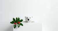 Polar bear figurine peeking over white surface next to potted holly plant with red berries, isolated on white background for holiday decorations and seasonal design projects.