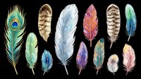Colorful watercolor feather collection isolated on transparent background, ready for t-shirt design, stickers, clipart, print on demand, and sublimation projects.