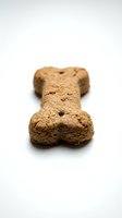 Dog bone-shaped treat with textured surface on white background, suitable for pet food packaging, veterinary websites, and animal care marketing materials.