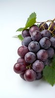 Fresh bunch of dark red grapes with green leaves on white background, showcasing ripe juicy fruit for food and healthy eating concepts.