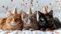 Three adorable cats wearing colorful party hats with confetti background, celebrating a festive occasion. Ginger, gray, and tortoiseshell cats lined up for a birthday or holiday portrait.