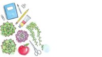 Watercolor school supplies and succulents flat lay with notebook, pencils, scissors and plants on white background for educational design projects.