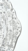 Clear gel texture with bubbles and droplets on white background, isolated for cosmetic, skincare, and beauty product packaging design use.