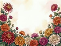 Autumn chrysanthemum flowers frame border with colorful blooms in orange, burgundy and purple creating decorative floral arrangement on textured background.