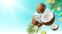 Fresh coconuts with milk splash and tropical palm leaves on turquoise background for summer beverage and exotic fruit concepts.