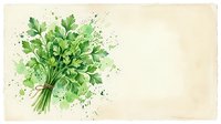 Fresh green parsley bunch tied with twine, watercolor art on vintage paper background with paint splashes and copy space.